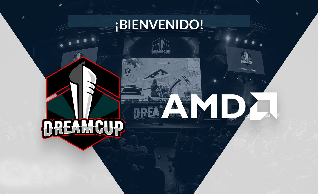 Dreamcup AMD