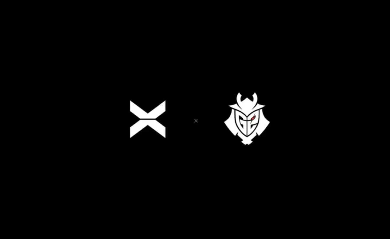 G2-Esports-se-une-a-XBorg